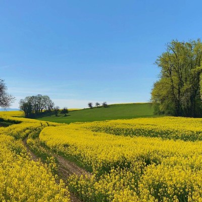 La ricerca della&nbsp;Natura